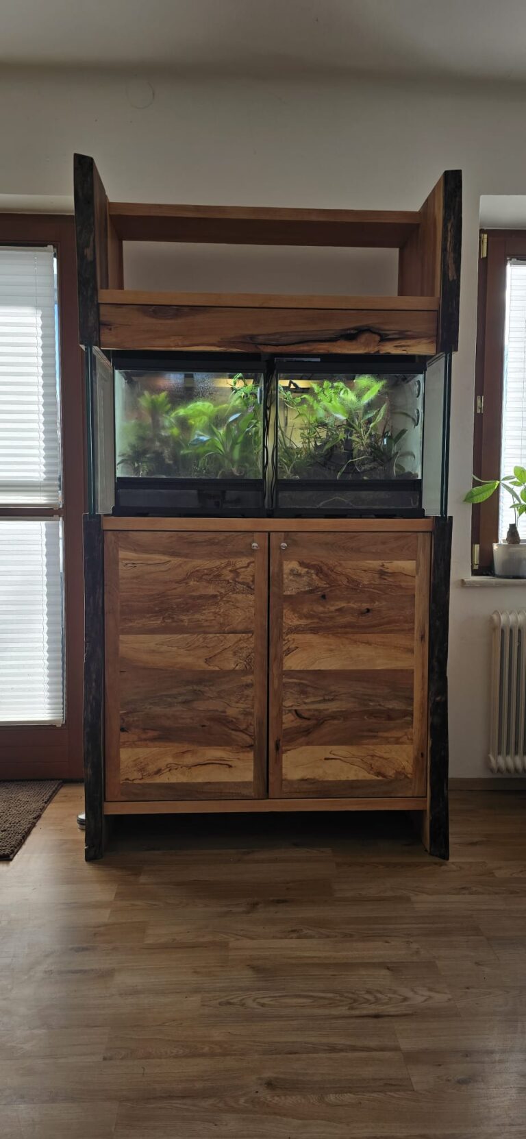 Terrarium Kasten in Zusammenarbeit mit Glaserei Jandl